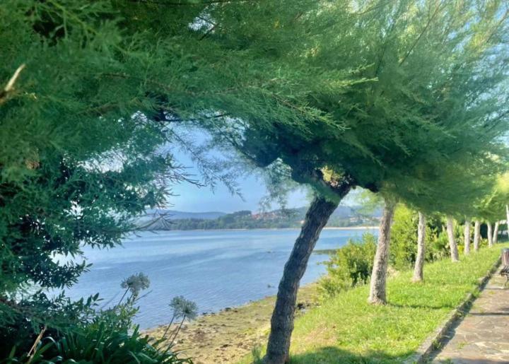Apartamento Ático con vistas a la ría de Arosa Rianjo Exterior foto